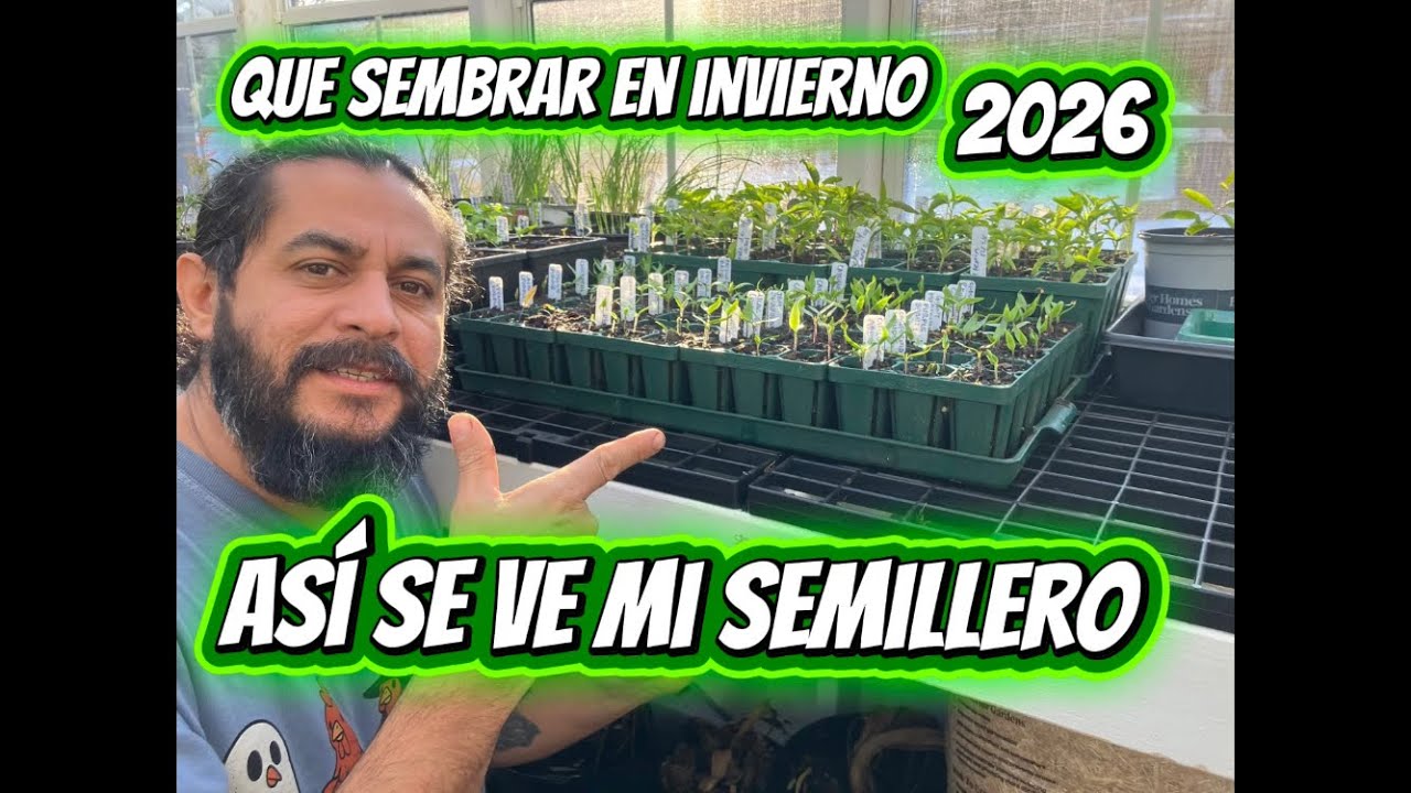 Que se puede sembrar en invierno ? 