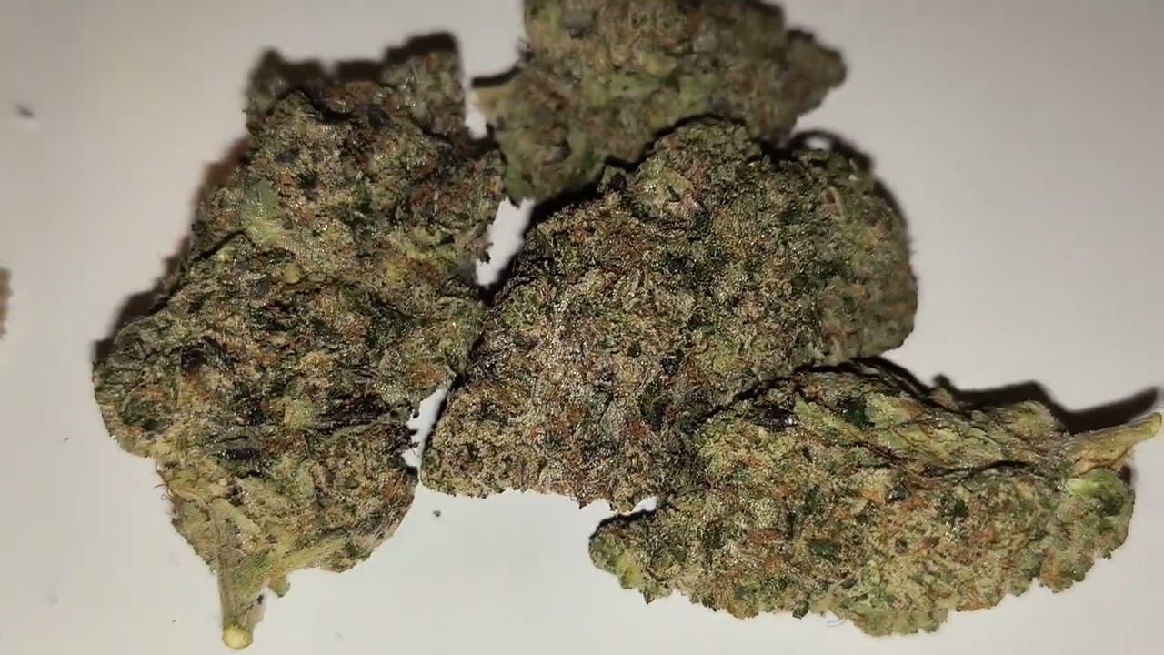 STRAIN REVIEW 240: 3 in the pink - Gorillajane
