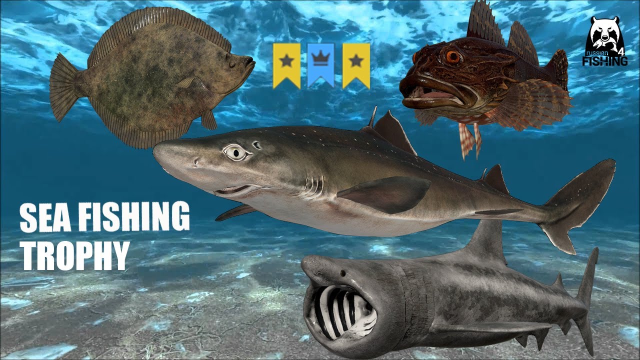 Russian Fishing 4 RF4 Norwegian Sea. 1X Rare Trophy Sculpin x2 trophy Spiny Dogfish & Longhead dap