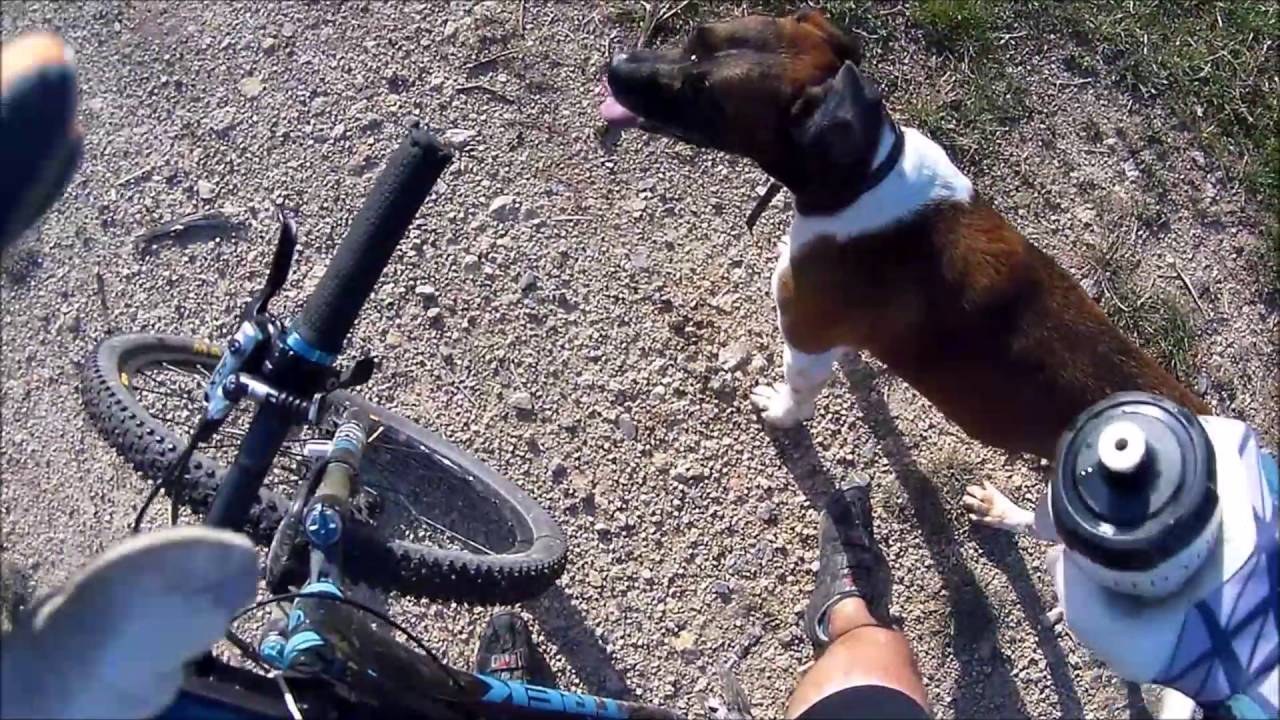 PEDALS DE FOC 3 etapas 2016