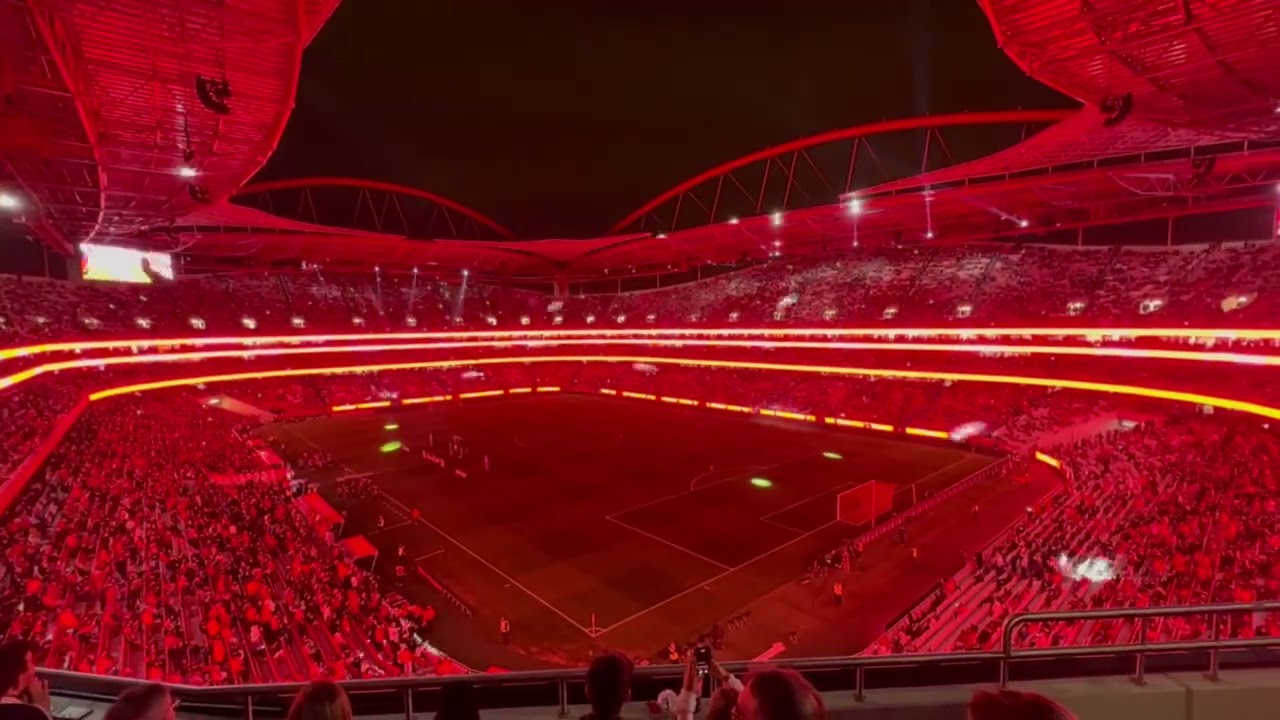 SLBenfica vs CD Santa Clara - 30/10/2024