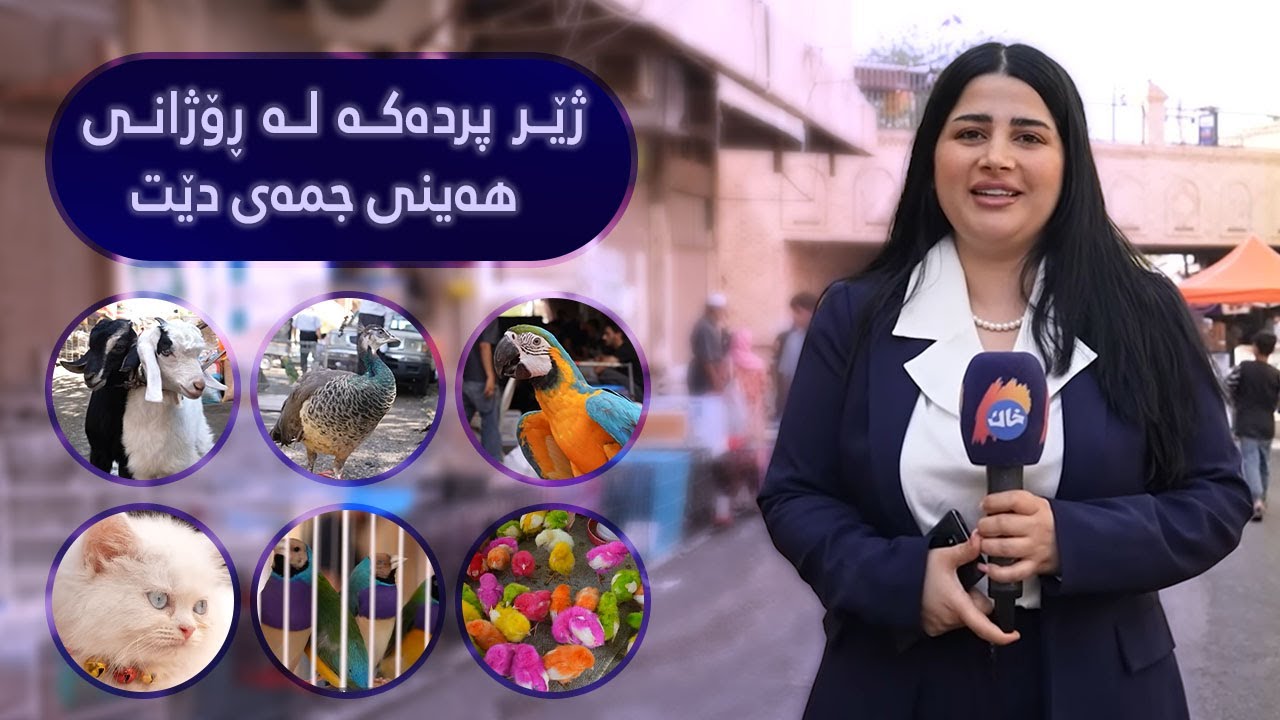 بازاڕی باڵندە و پەلەوەری شاری سلێمانی ناسراو بە  ژێر پردەکە لە ڕۆژانی هەینی جمەی دێت لە هاووڵاتیان