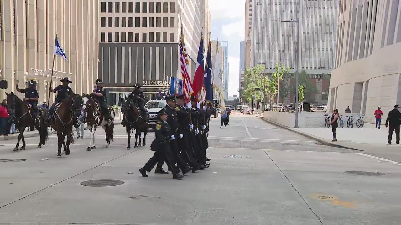 Houston Veterans Day Parade 2024: FULL