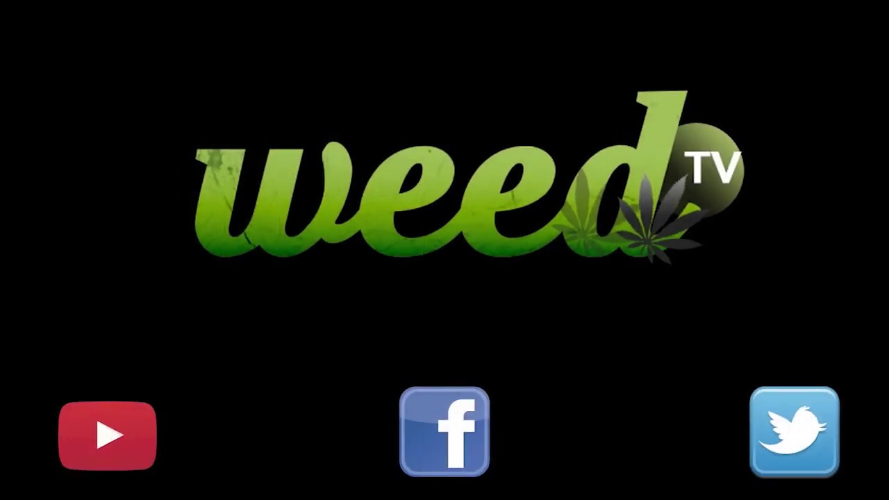 WeedTV&rsquo;s Weedhouse Mansion Party Interview w/ Curt Diesel & 420 Comic 4/20/17