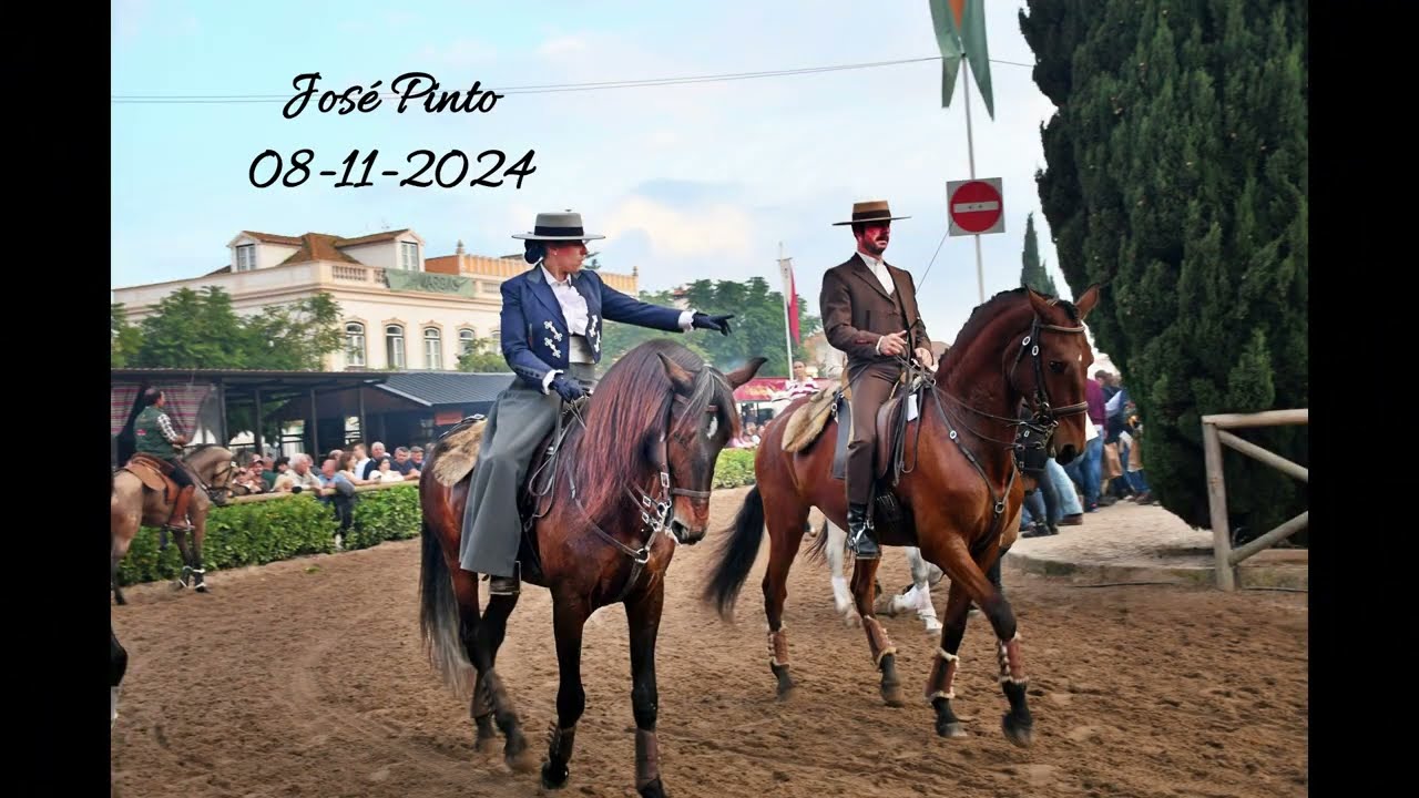 Feira do Cavalo Golegã 2024