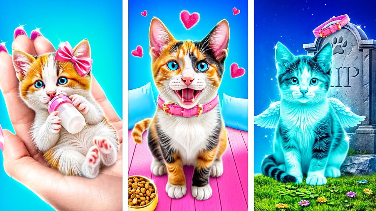 Ich habe eine Winzige Katze Adoptiert! Geheime Life-Hacks für Haustierbesitzer!