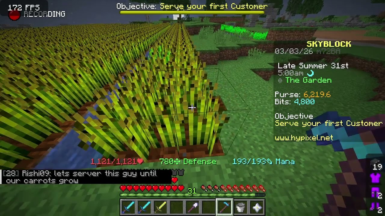 making a little carrot farm in hypixel skyblock