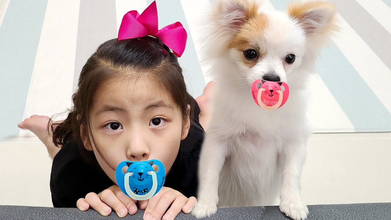 강아지랑 어떻게 놀까요? 서은이와 보름이의 경찰놀이 도둑 잡기 놀이 Seoeun and Pet Story