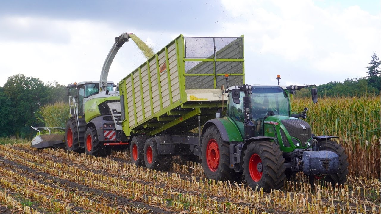 Mais 2025 | Claas | Fendt | Hitachi ZW150 | Haaring Hengelo (Gld.) | Maishakselen | Mais silage