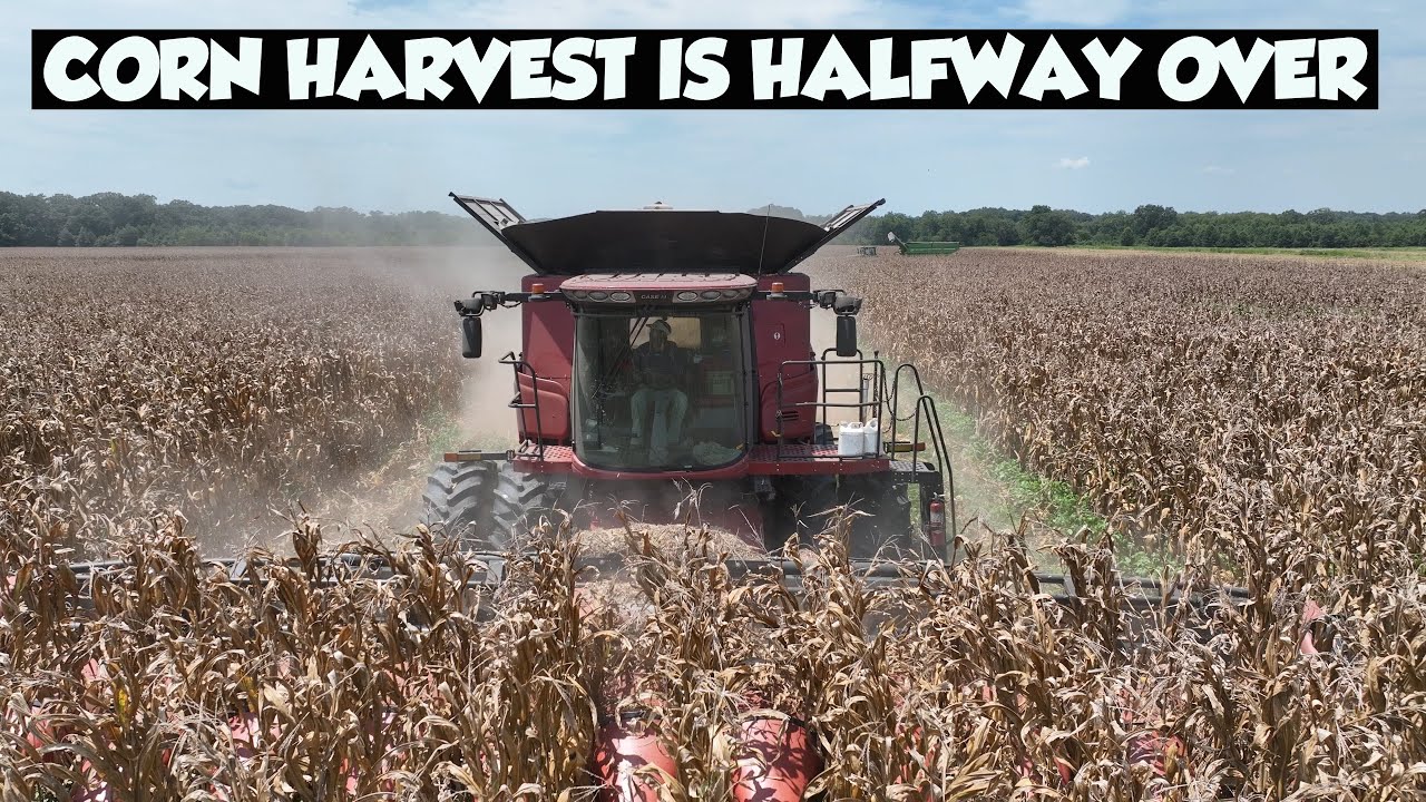 WE HAD A FIRE ON THE COMBINE !!!!!