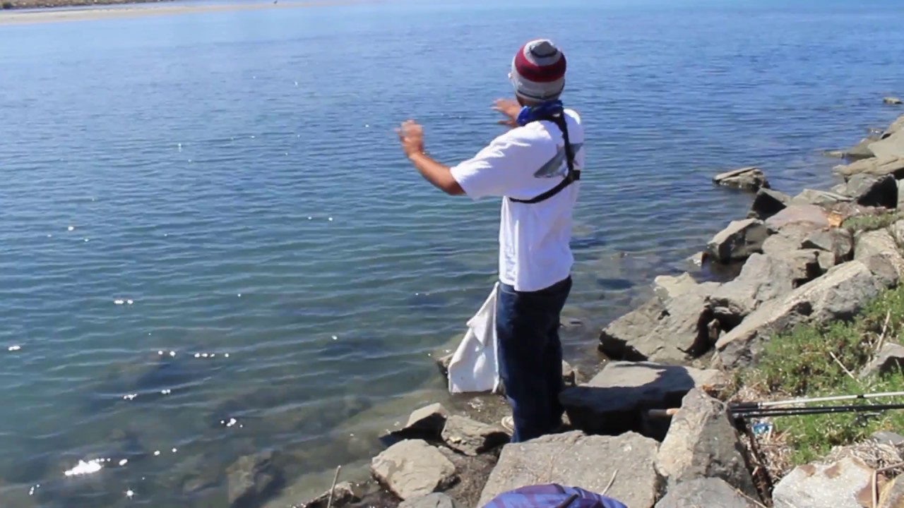 Shore Fishing - SD River mouth. Pt. 2 the Revengeance