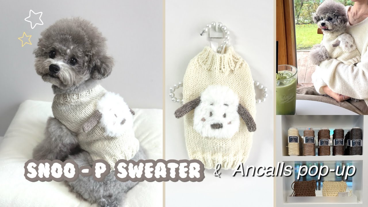 Knitting vlog 뜨개로그ㅣ 🧶 처음 뜨기도 추천! 강아지 스웨터 뜨기 🐶 Snoo-p Sweaterㅣ더현대 앵콜스 팝업