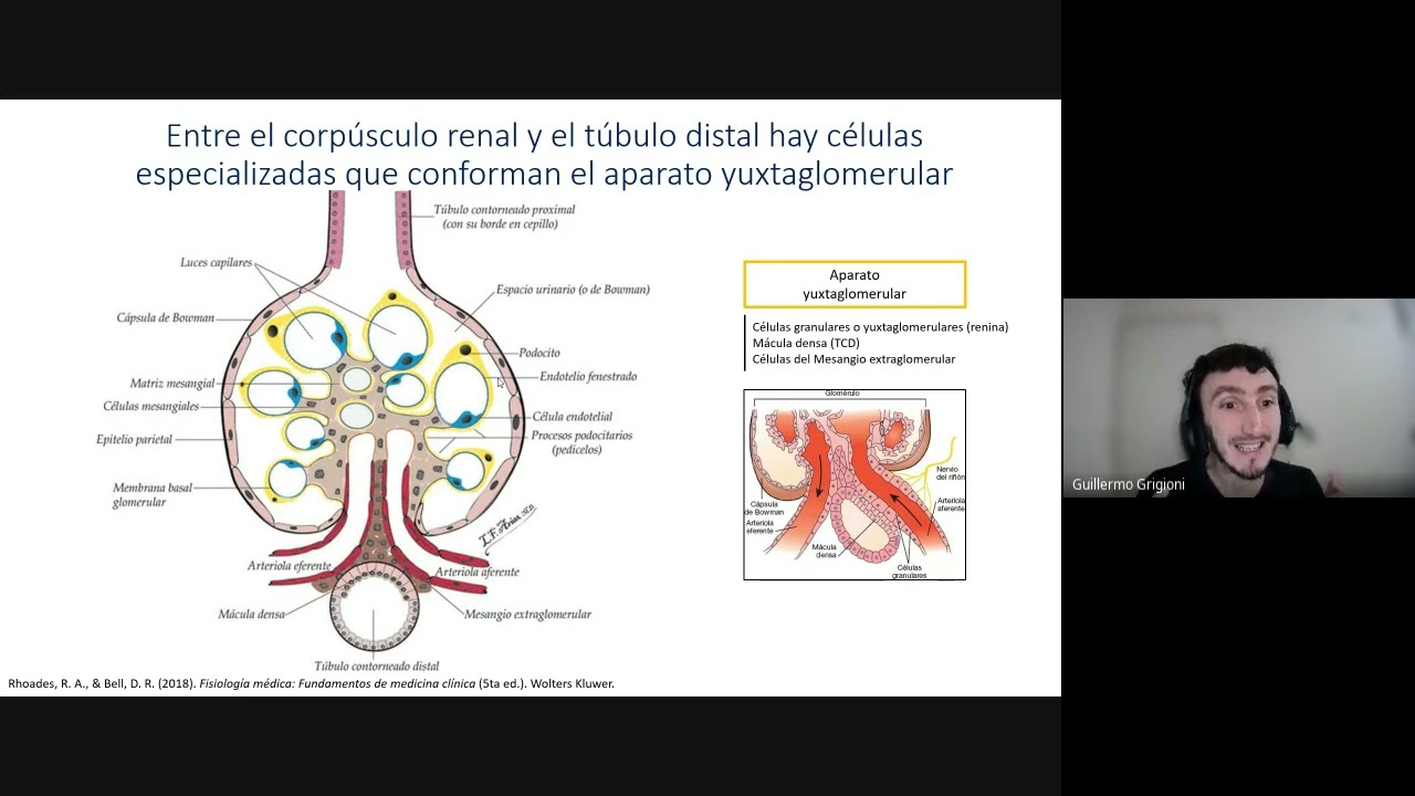 Clase de Repaso SHYSM - Filtración Glomerular - Prof Guillermo Grigioni