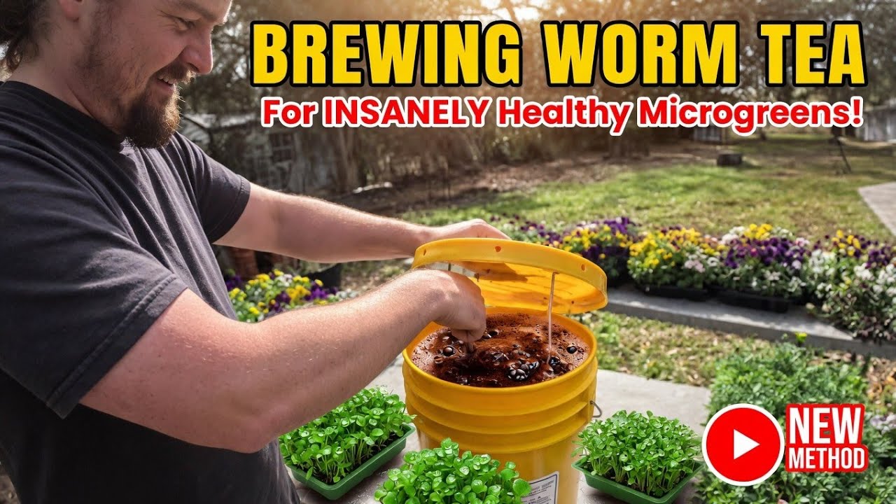 Boost Microgreens & Flowers Organically (Step-by-Step) Worm Tea Brewing Kit