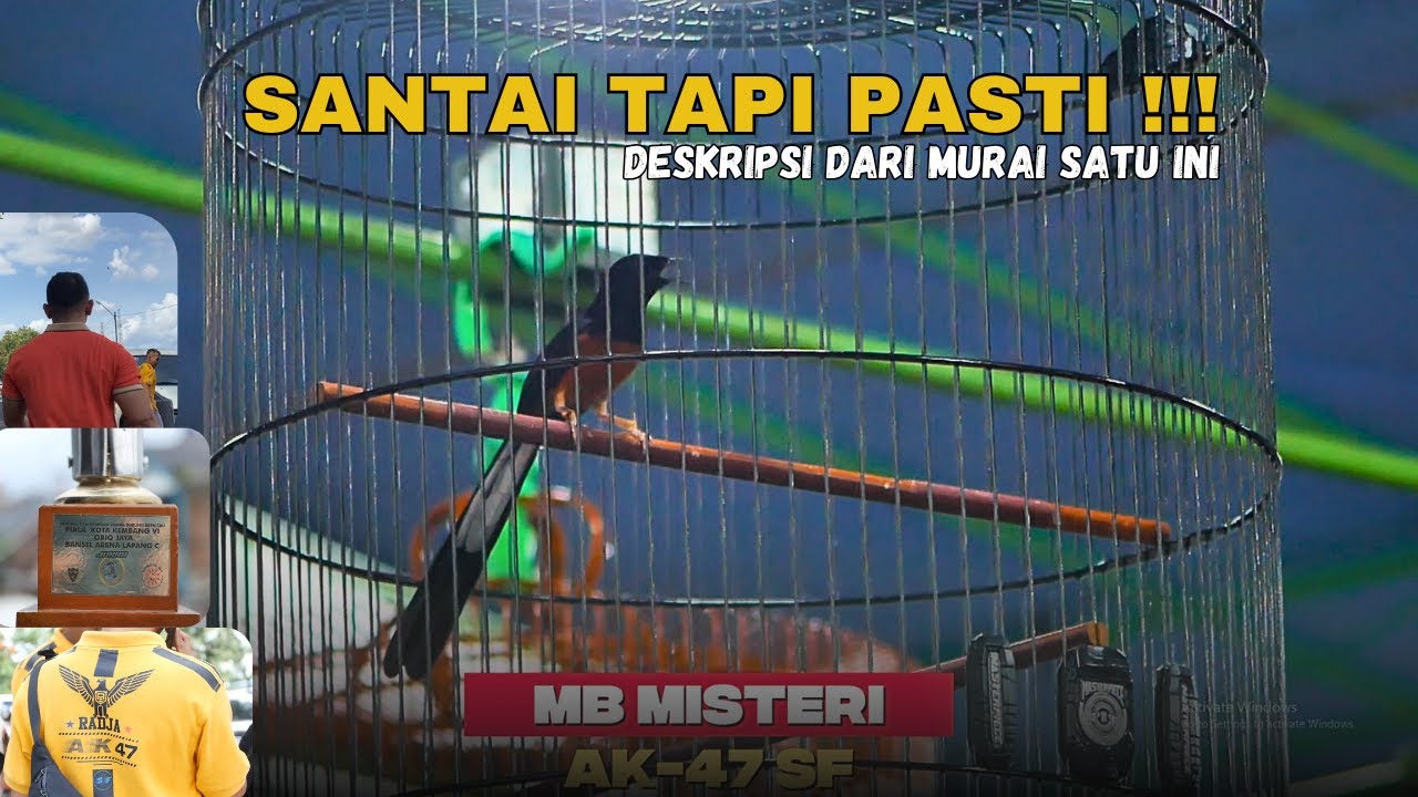Santai Tapi PastiDeskripsi Dari Murai Satu Ini !!!