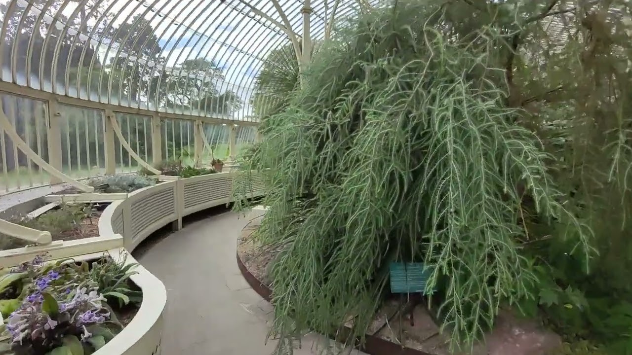 National Botanic Gardens, Dublin, Ireland