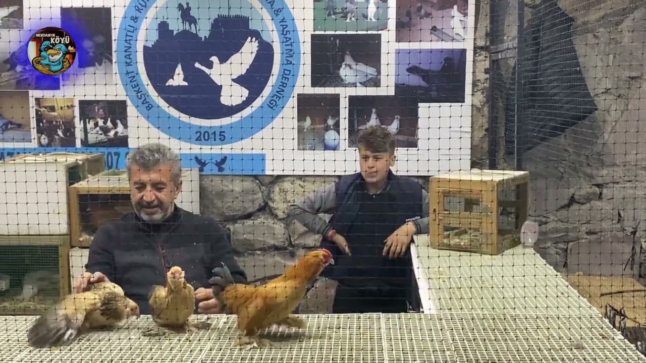 2022 Son Mezatın İlk bölümü