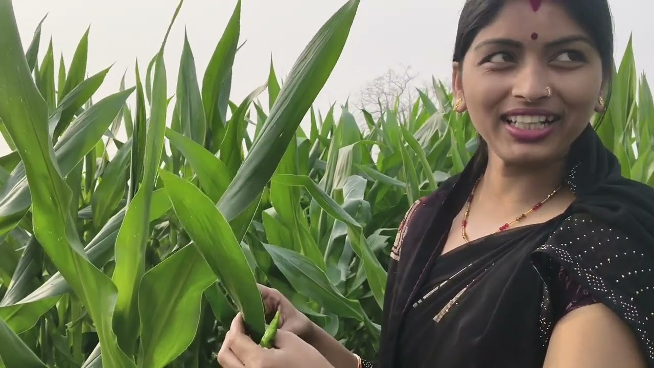आज मैं खेत घूमने गई#Rina Singh vlog trending video 
