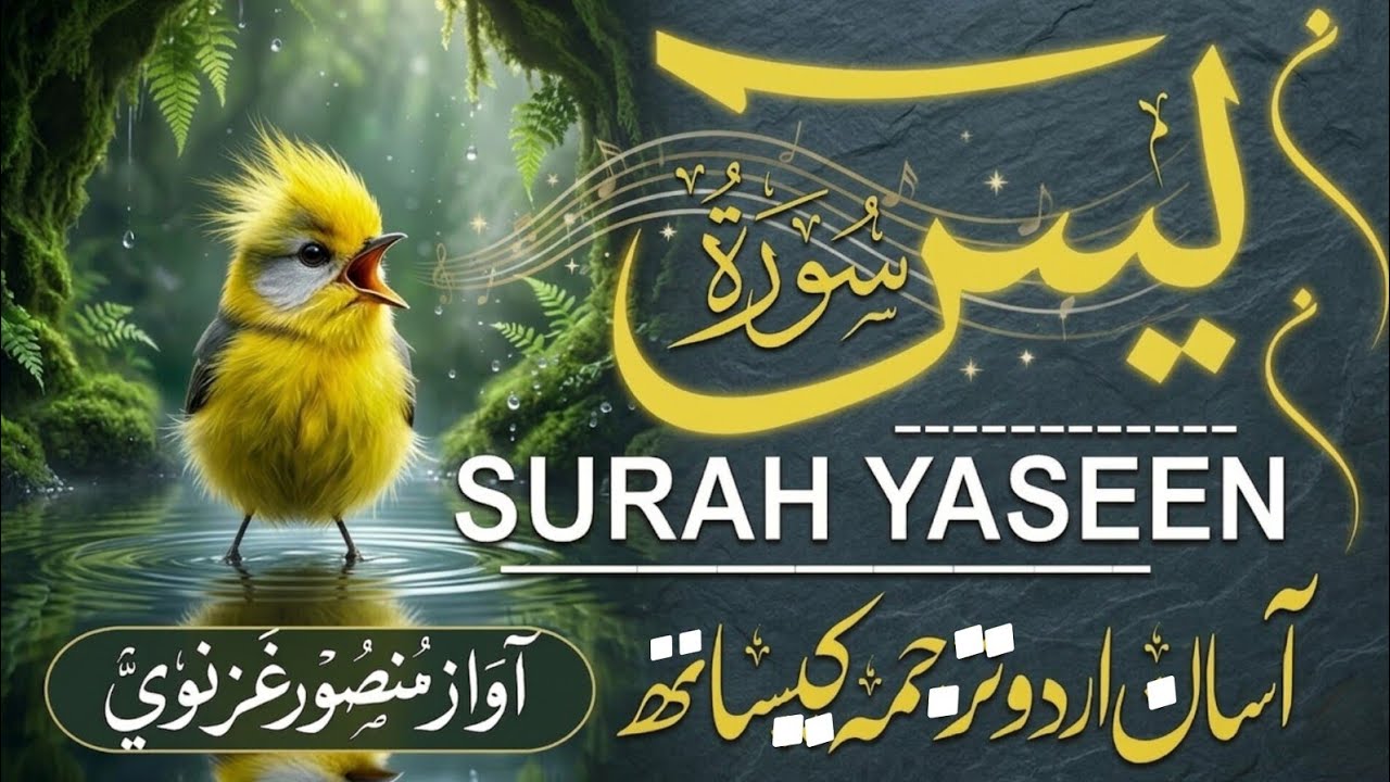 Surah Yaseen ( Yasin ) With Urdu & Hindi Translation | Beautiful Recitation With Tarjuma | Epi 0001