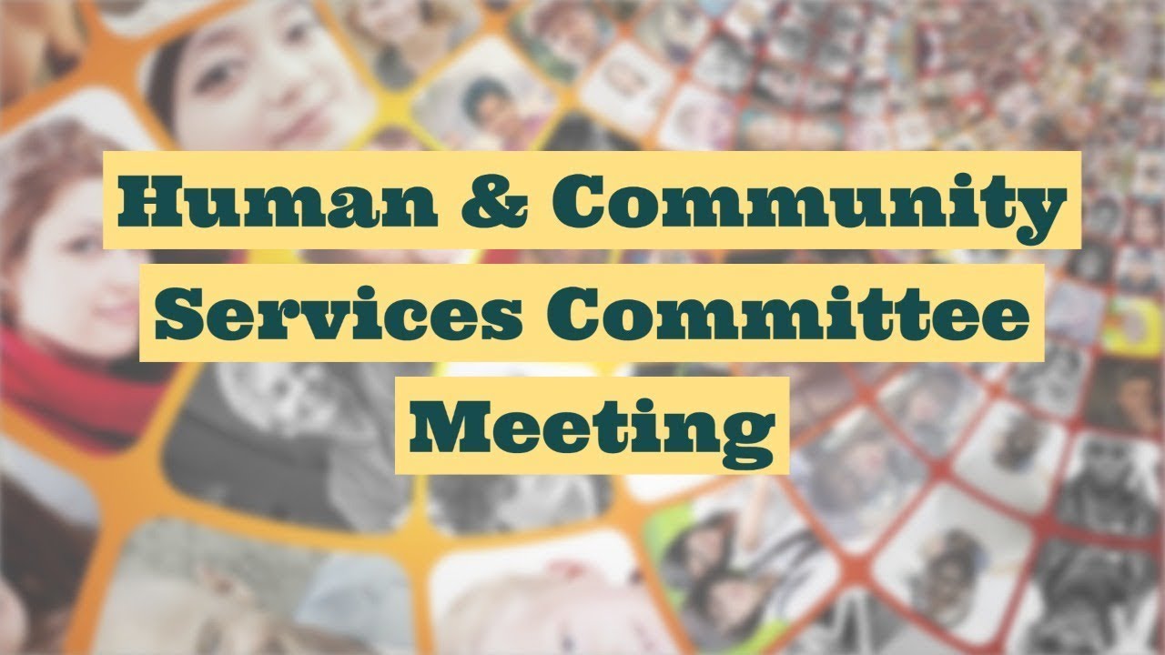 Budget Workshop - Human & Community Services Committee Virtual Meeting - March 26, 2026