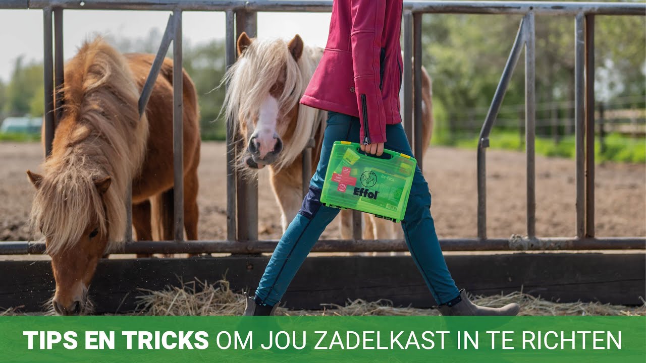 Tips en tricks om jouw zadelkast in te richten