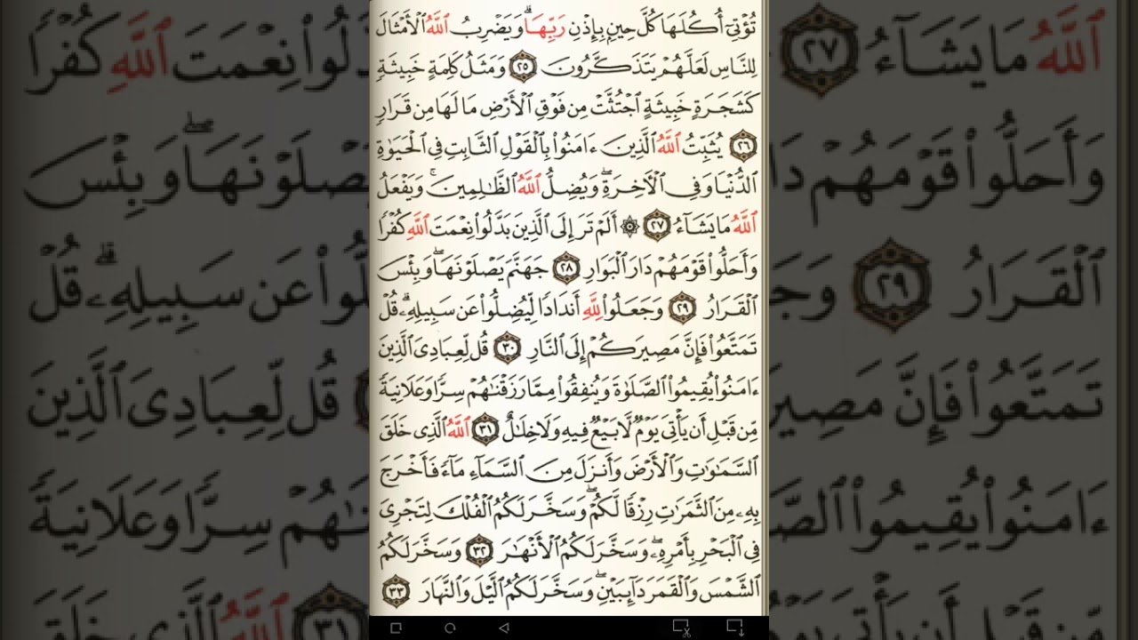 ماهر المعيقلي سورة إبراهيم مكتوبة صفحة 259 مصحف المدينة المنورة جودة عالية