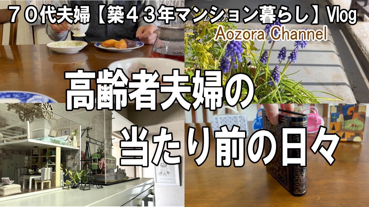 【年金生活】７８歳７３歳夫婦 日々の記録Vlog. 高齢者夫婦の当たり前の日々 / ５回のTIM通院で買ってしまったものは　/ おやつは花束のフィナンシェ /Japanese senior Vlog.