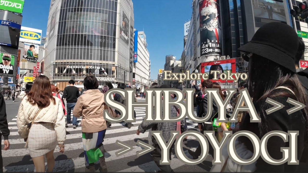 Explore Tokyo in 4k | Walk from Shibuya to Yoyogi Park Cherry Blossoms