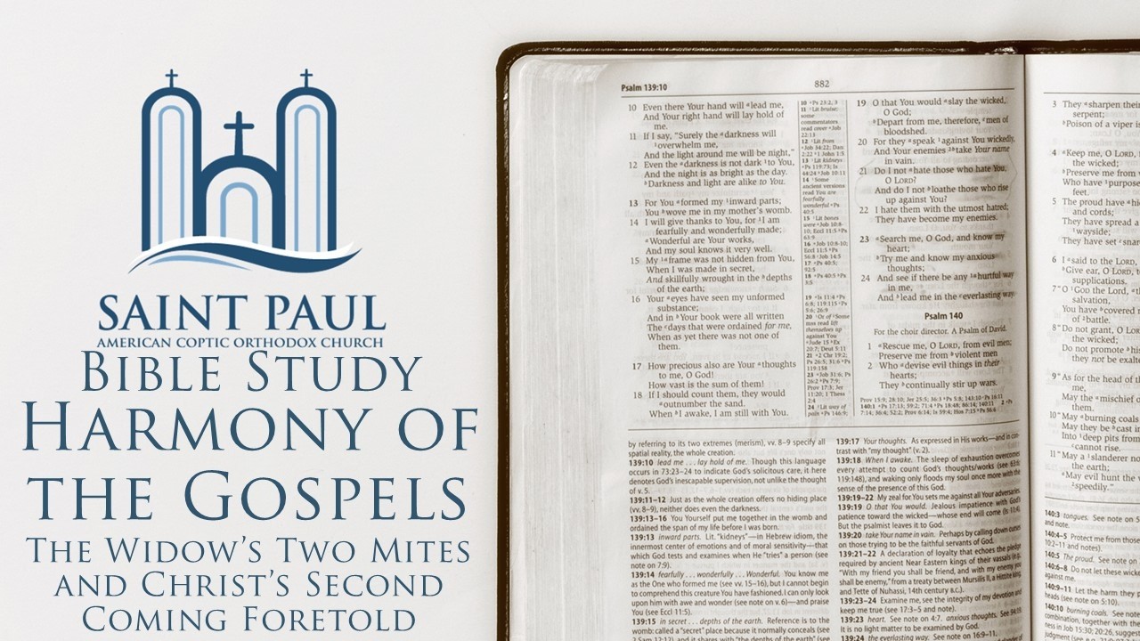 Harmony of the Gospels [The Widow's Two Mites] | Bible Study (Fr. Matthias Shehad)