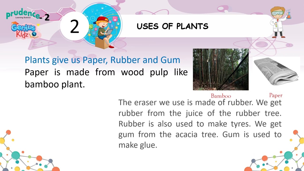 2-Uses of Plants | Prudence Learning Science Class-2 | Genius Kidz | Preschool Learning