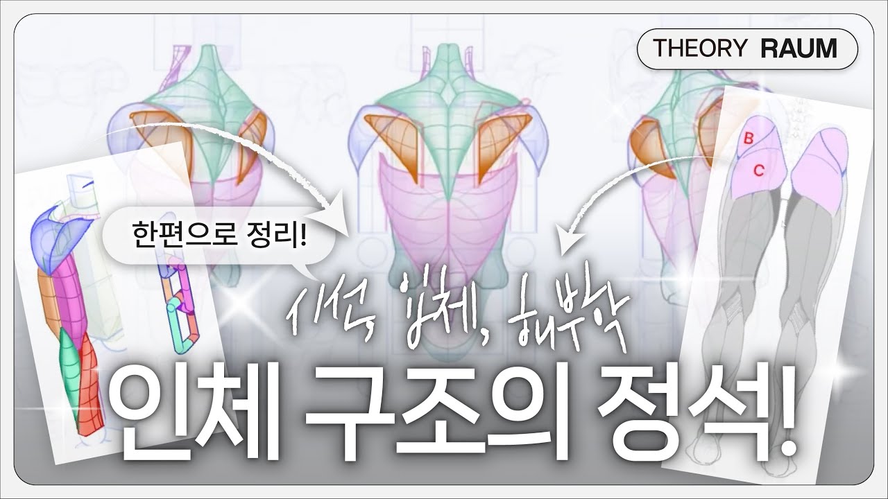 꼭 알아야 할 '인체의 정석' 총정리🔥!! 지식 전력 라움베이직 클래스