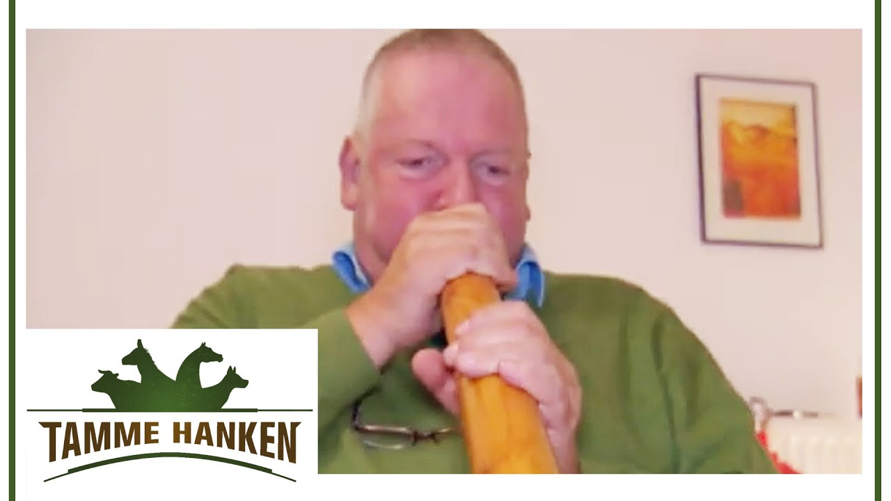 Tamme Hanken lernt Didgeridoo spielen! | Tamme Hanken | Kabel Eins