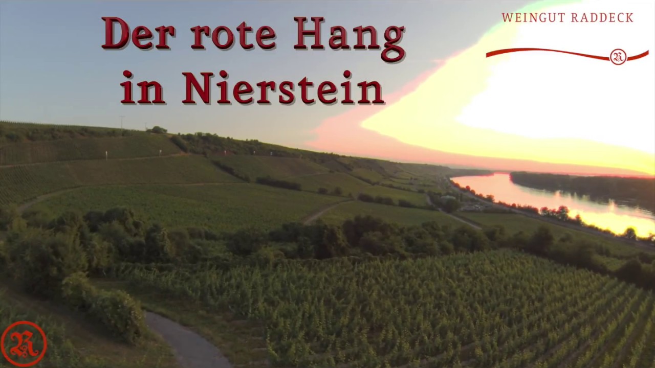 Der Rote Hang in Nierstein-  Rieslingreben vom Rhein bis zu Himmel