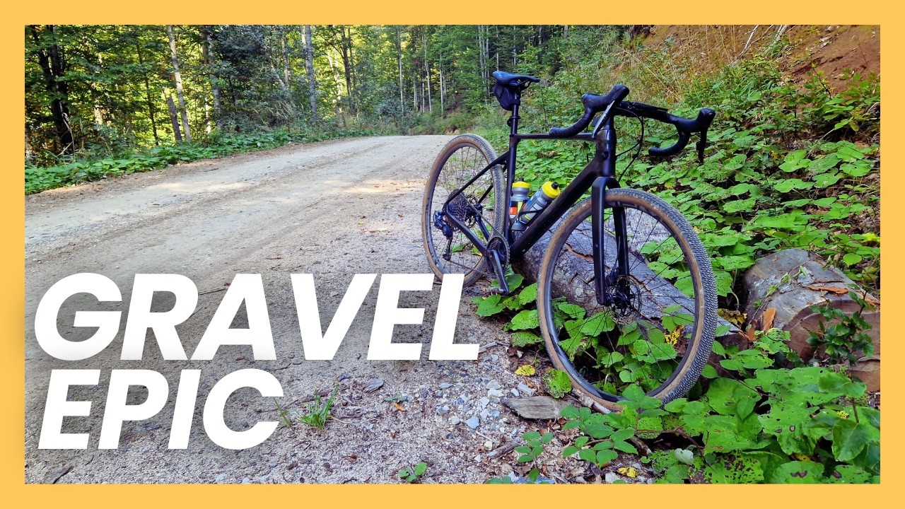 Trebuie să vii aici cu gravel bike-ul! | Munții Poiana Ruscă | 66 km, +1660 m