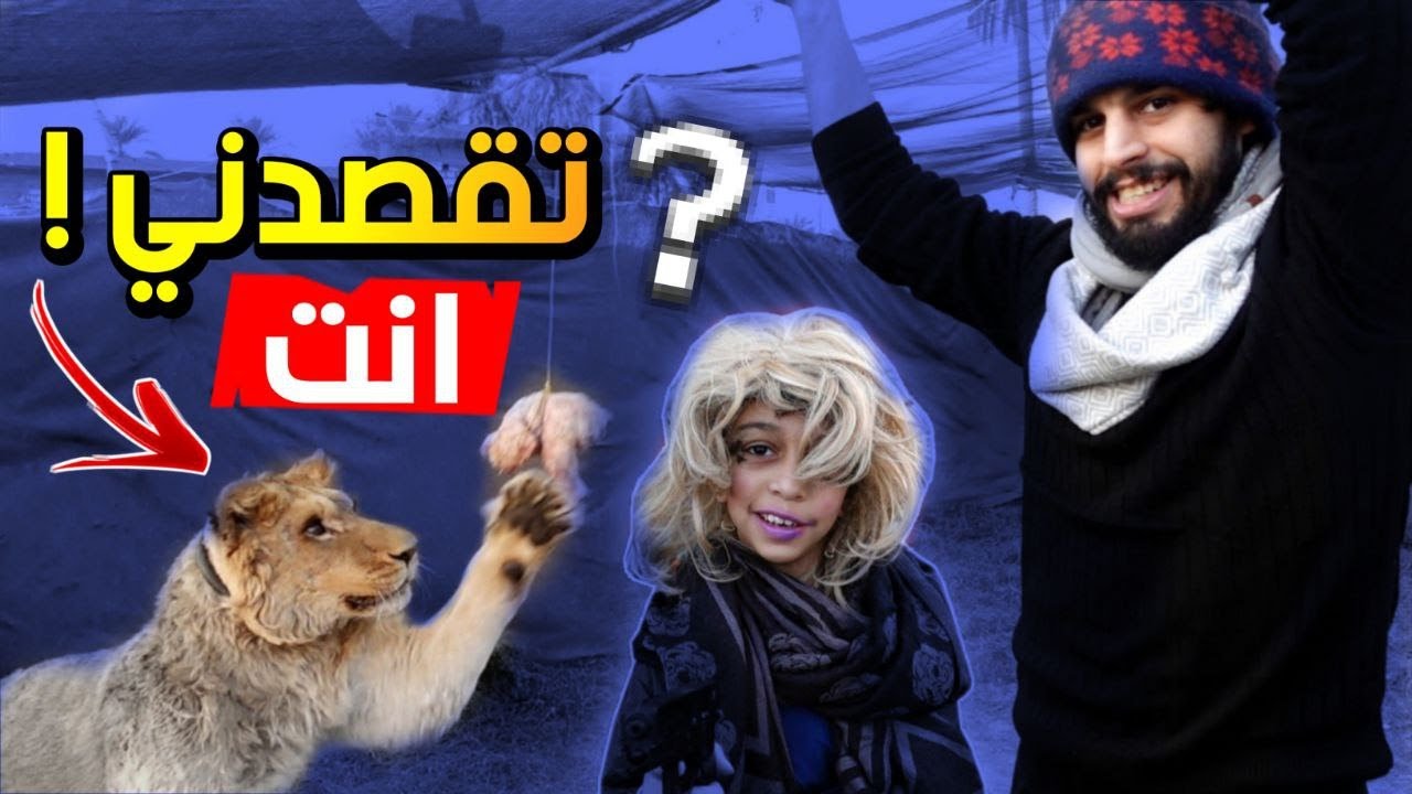 تدريب الاسد على القفز 😱 ومقابلة مع ام فهد 😂 اشبع ضحك 