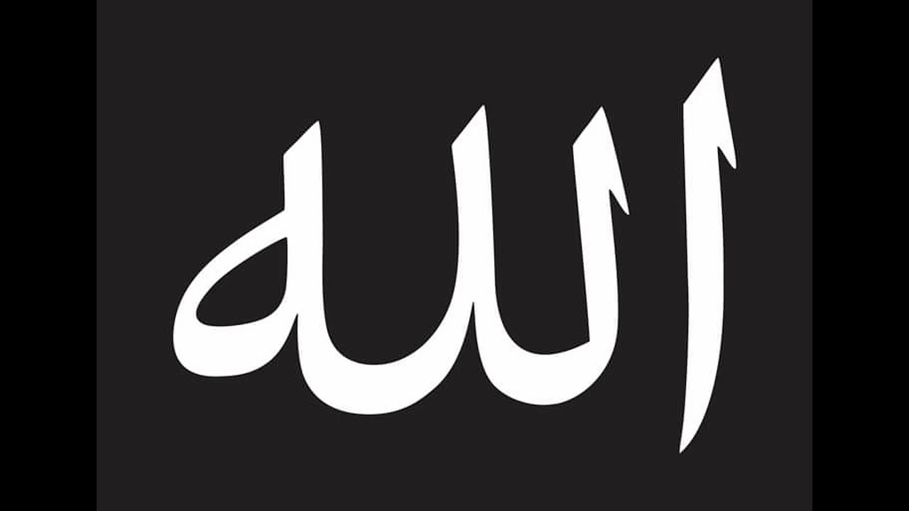 024_5_16 حضرة المجلس