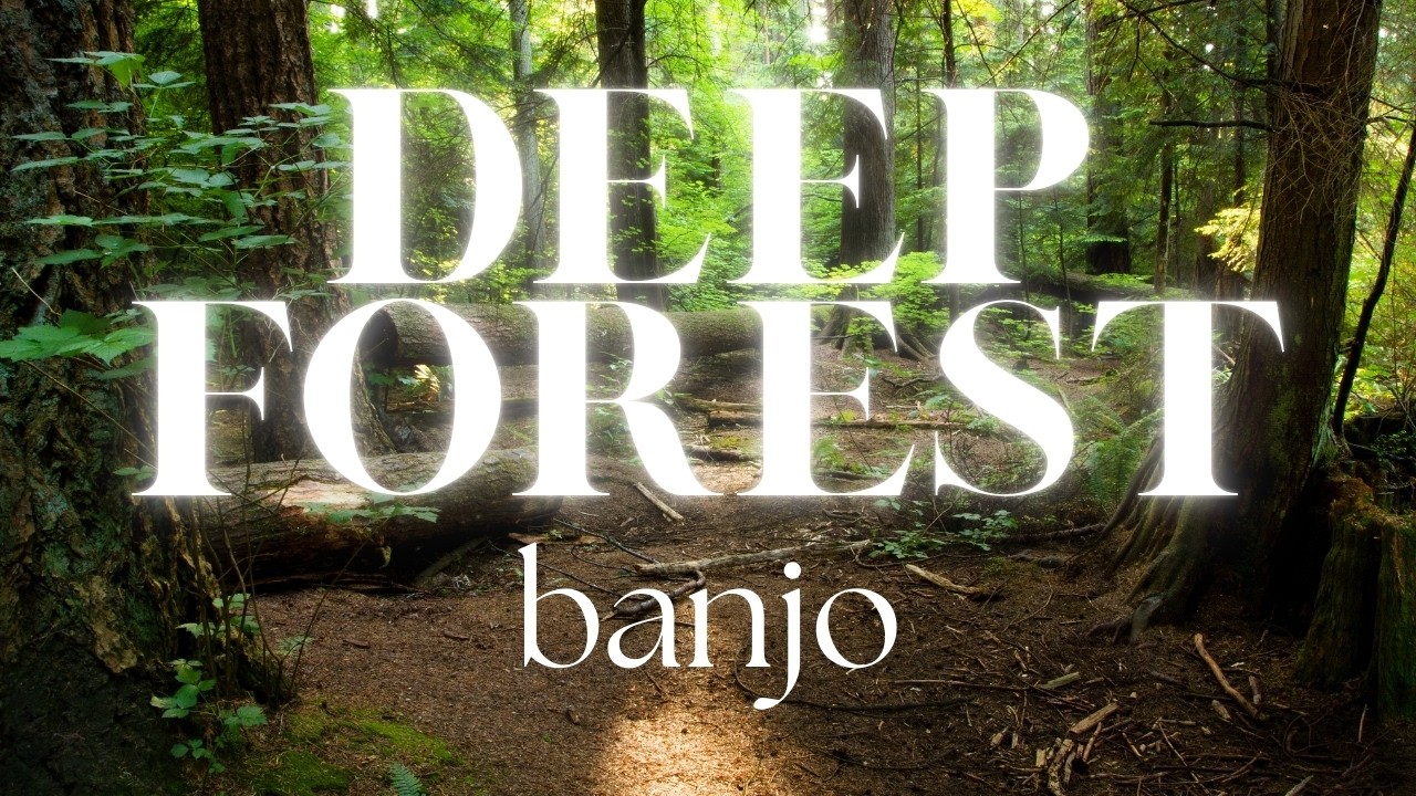 Deep Forest Appalachian Mountain Banjo | 4K Walking Meditation