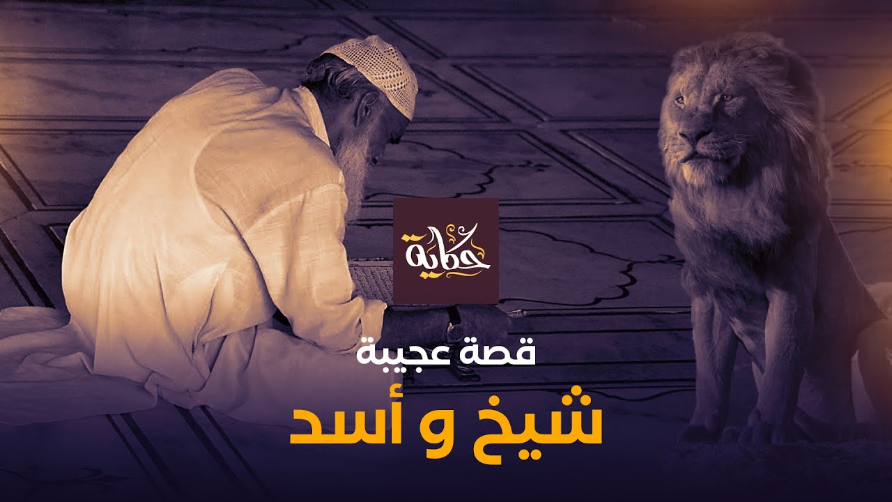 - شيخ.. وأسد!!