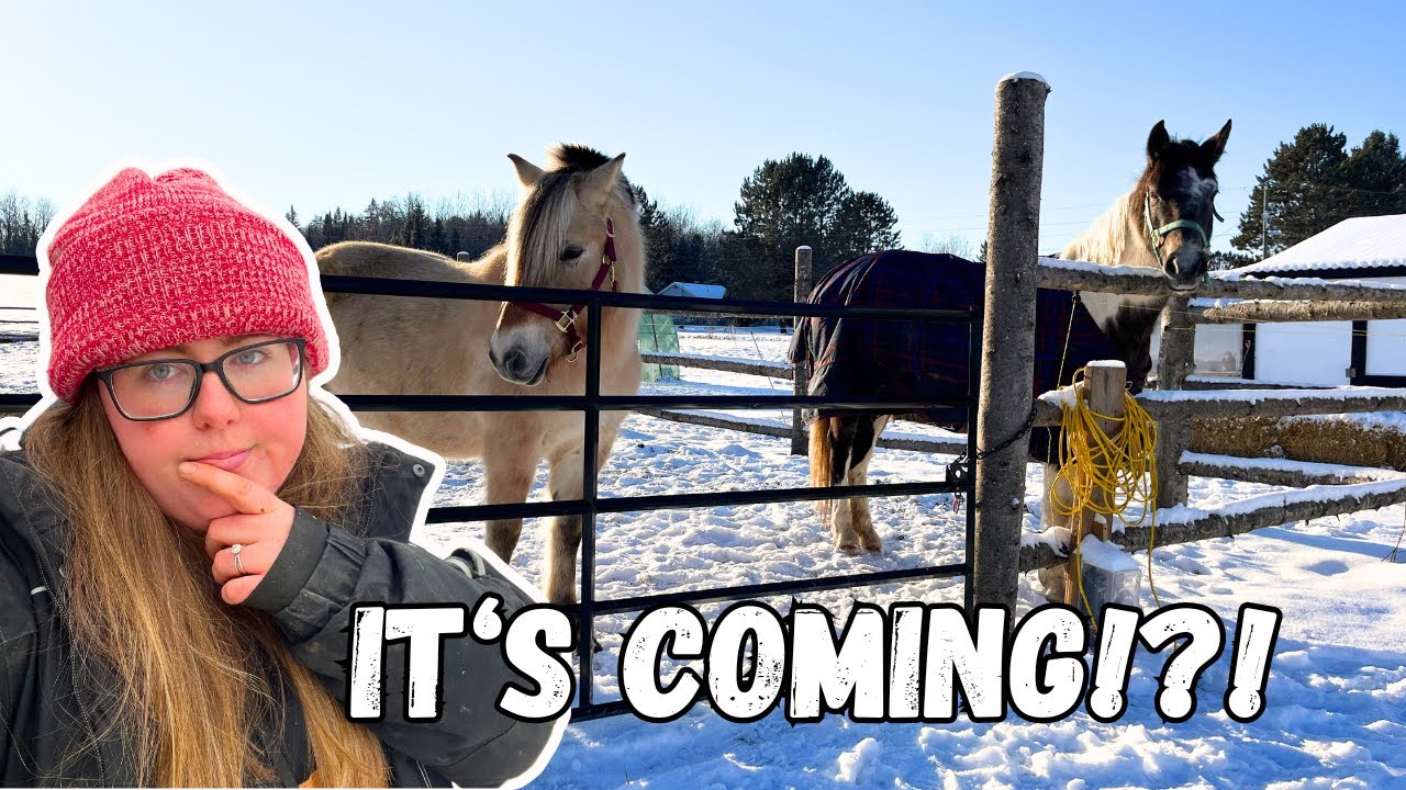 Prepare for A Snowstorm on the Homestead | VLOGS