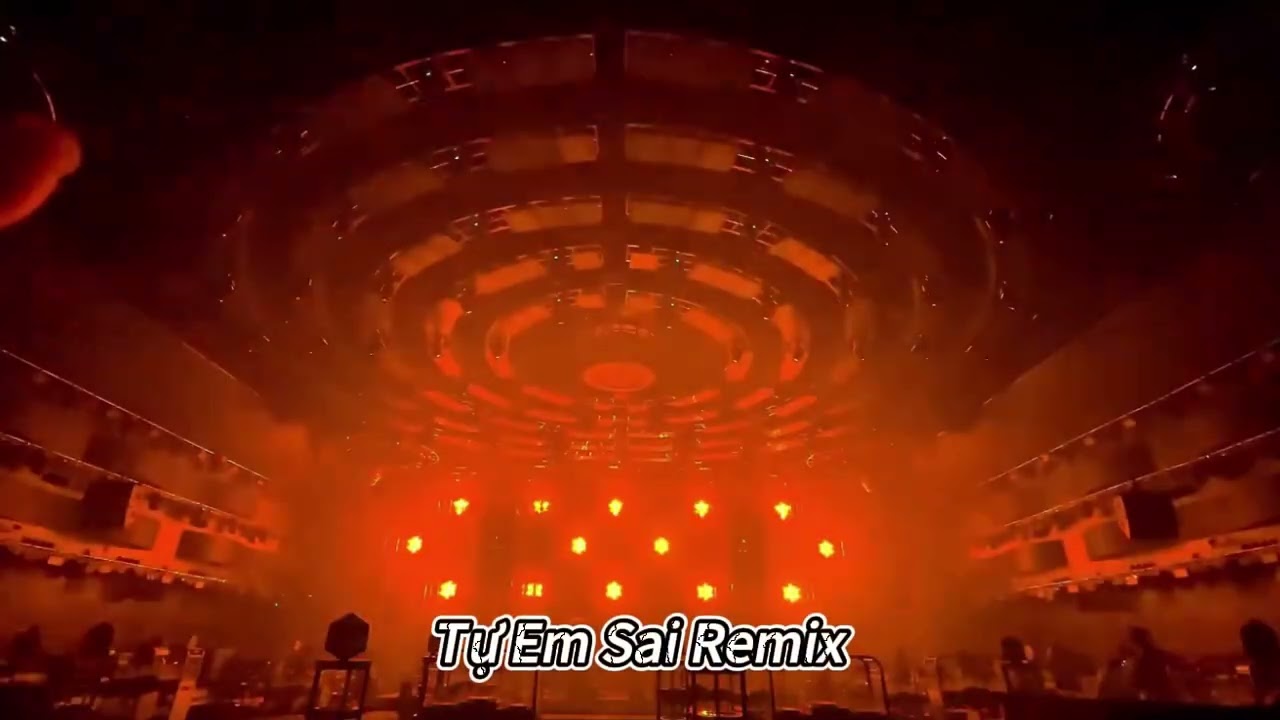 TỰ EM SAI REMIX