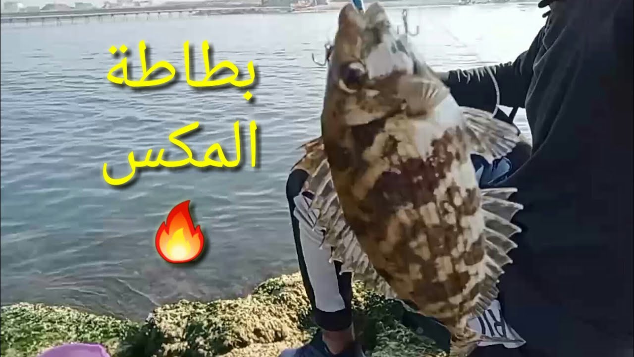 المكس بطاطه واعرف المكان🔥