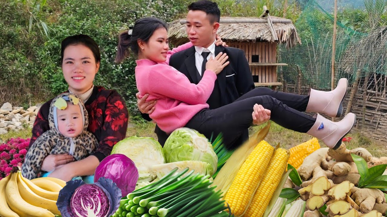 2 Years Before Meeting CEO Hung Again - Harvesting Chives and Ginger to Sell at the Market.