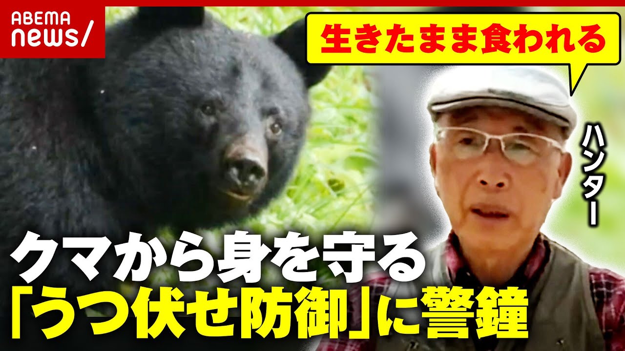 【貴重映像】ヒグマがエサを隠す瞬間…ハンター「初めて見た」クマから身を守る“うつ伏せ防御”の危険性を指摘｜ABEMA的ニュースショー