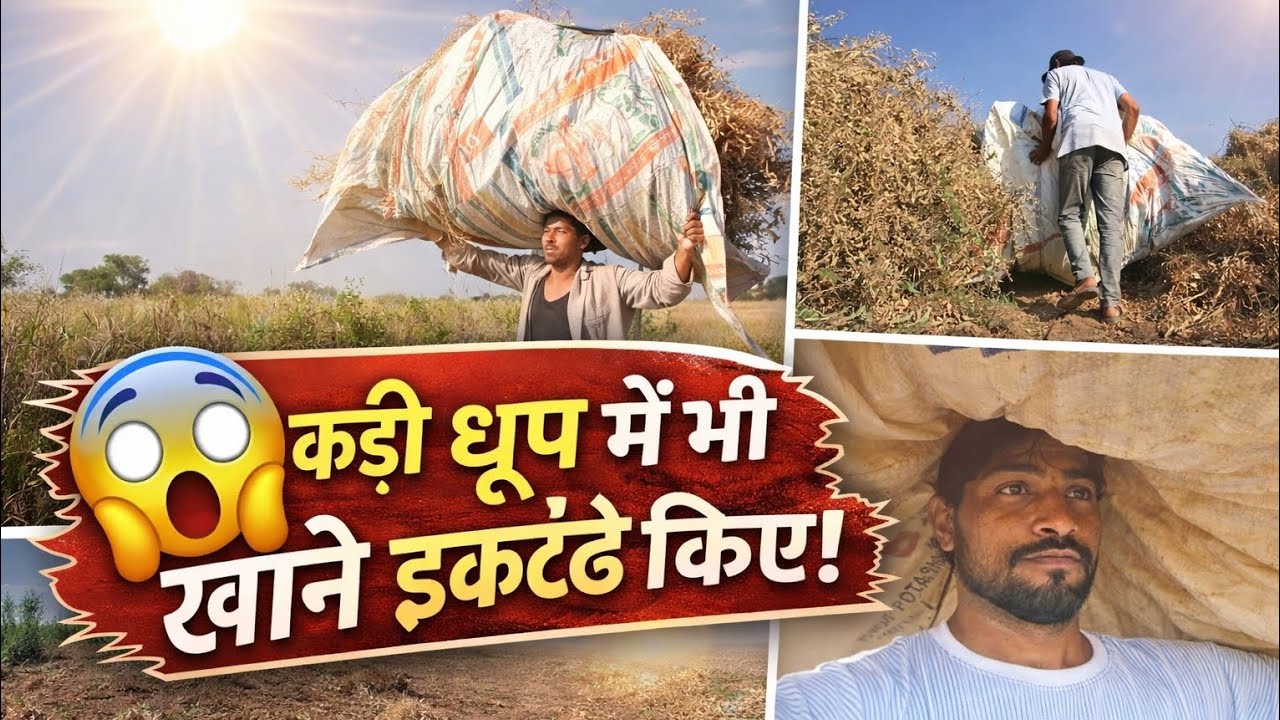 Aaj Ka Kam Tha Chane Ikhatte Krna | #trending #vlog #viral 