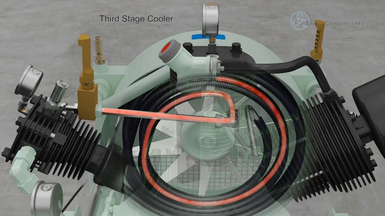 WP81L Animation Video