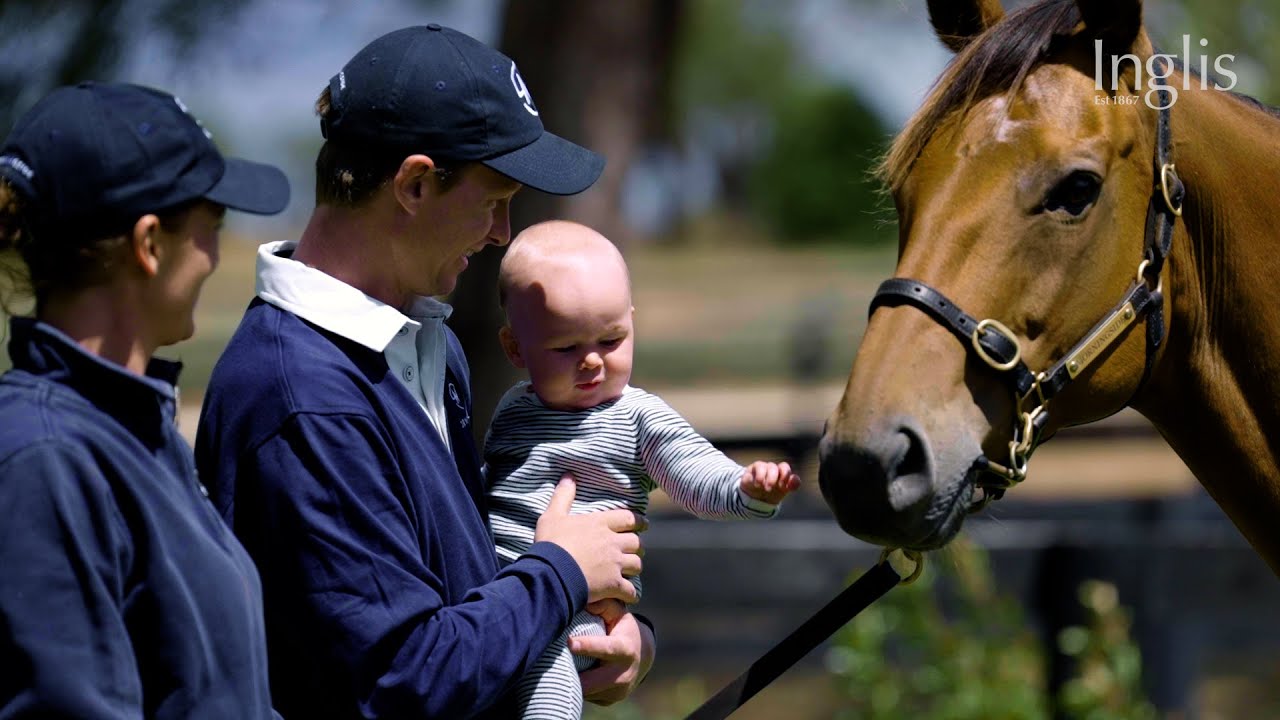 Morningside: vendor preview - 2023 Inglis Premier Sale
