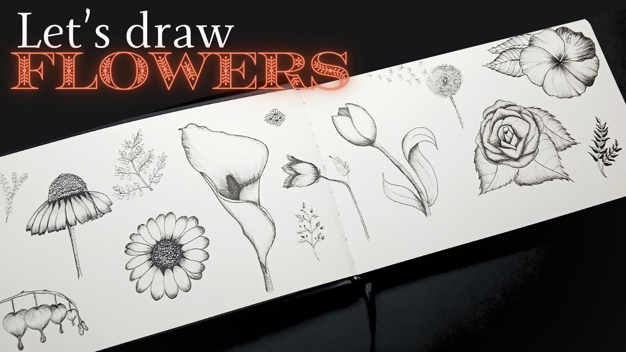 How to Draw Flowers