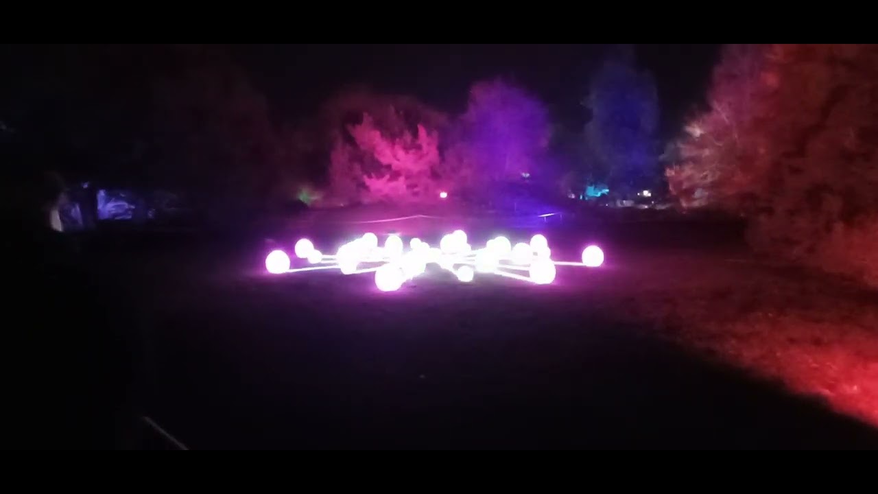 Cambridge Botanic gardens christmas light trail 2024 ✨️🎄