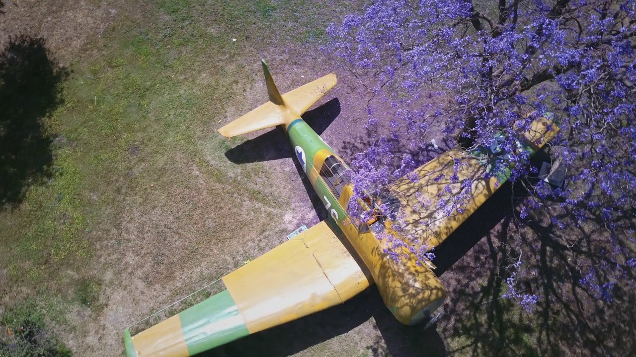 עין גב ממעוף הציפור