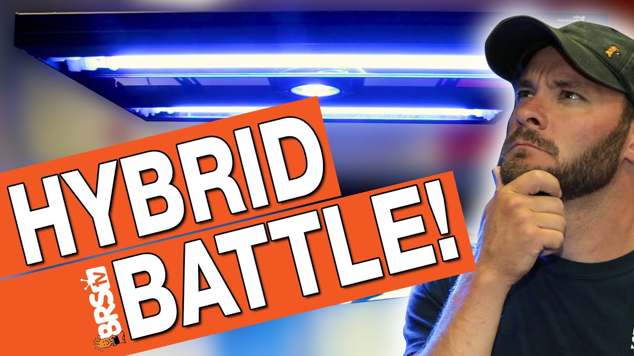 Giesemann Stellar...OR...Aquatic Life T5/LED hybrid? Reef tank lighting showdown  | BRS Investigates